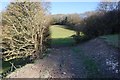 Elham Valley Way towards Hall Downs