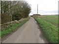 Folly Lane heading towards Folly Farm