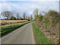 Common Road approaching Limetree Farm