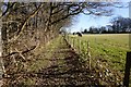 TR1849 : Bridleway towards Horsehead Farm by Ian S
