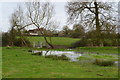 Footpath in waterlogged field north of Marsh Baldon