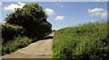 Lane to Hessaford Farm