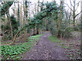 Footpath towards Dormans Park