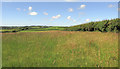 SS2407 : Grass field near Oxenpark by Derek Harper
