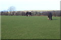 Field behind Caerwdros village hall