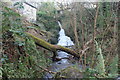 Waterfall, Hoffnant, Penbryn