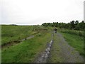 Footpath towards The Haining