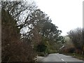 Trees and a farm building at Barton Gate