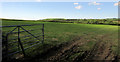 Grass field near Launcells Cross