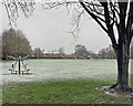 A sprinkling of snow on Vinery Rec