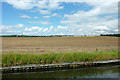 Cropfield north-east of Minworth, Birmingham