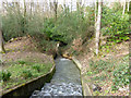 Spillway, Wilderness Lake