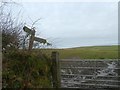 Footpath sign for path to Exe Head