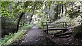 Footbridge over Relief Channel in Annvale Glen