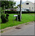 Topiary alongside Trepit Road, Wick