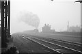 Hart Bank on a misty morning