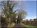 Minor road by Treffry Farm