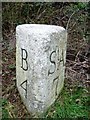 Old Milestone north east of the A391