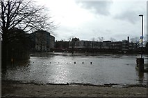 SE5952 : River from Marygate by DS Pugh