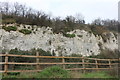 Grays chalk quarry nature reserve