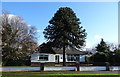 Bungalow on Scotchman Lane (B6123)