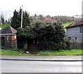 Bus shelter surrounded by vegetation, Lower Lydbrook