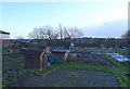 Allotments off Westfield Lane, Scholes