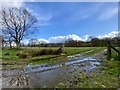 Waterlogged track