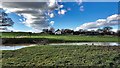 Eatons Farm from the east bank of the River Adur