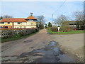 Sallow Lane at Hall Farm Rescue and Rehoming Centre