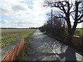 A quiet moment on Double Bridges Road