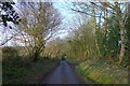 Entering the woods surrounding Beacon Hill