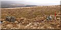 SX6671 : Holne Ridge prehistoric stone row by Sandy Gerrard