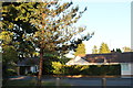 Houses on Finchampstead Road