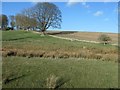 Farmland above Peg Beck