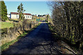 Shadows along Lettergash Road