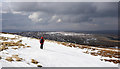 NY8144 : Snow patch north of summit of Killhope Law by Trevor Littlewood