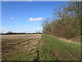 Bridleway alongside Kinoulton Gorse