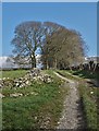 Track to Chelmorton Flatt Farm