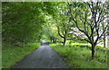 Fife Coastal Path towards Aberdour