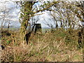 Trig point on Measbury Moor