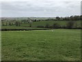 Green fields near Dyrham