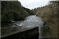 NS8742 : River Clyde at New Lanark by Richard Sutcliffe