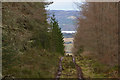 NH7182 : Forest Track on Edderton Hill, Ross-shire by Andrew Tryon