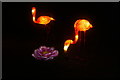 View of flamingo and flower lanterns in the Lightopia Festival in Chiswick House and Gardens