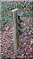 Cable post on the former Finsbury Park to Alexandra Palace line