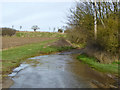 TL8249 : Small flood at foot of Braggon's Hill by Robin Webster