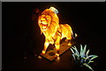 View of a lion lantern in the Lightopia Festival in Chiswick House and Gardens