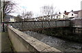 West side of a Rhondda River footbridge, Treorchy