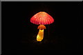 View of a mushroom lantern in the Lightopia Festival in Chiswick House and Gardens